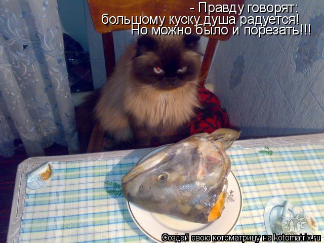- Правду говорят: большому куску душа радуется! Но можно было и порезать!!!... Котоматрица: - Правду говорят: большому куску душа радуется! Но можно было и порезать!!!
