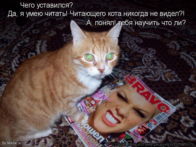 Котоматрица: Чего уставился? Да, я умею читать! Читающего кота никогда не видел?! А, понял! тебя научить что ли? By MariaCin