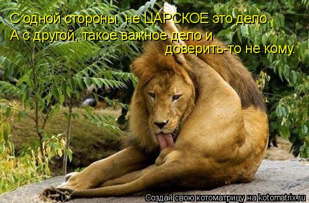 С одной стороны, не ЦАРСКОЕ это дело. А с другой, такое важное дело и доверить-то не кому.... Котоматрица: С одной стороны, не ЦАРСКОЕ это дело. А с другой, такое важное дело и доверить-то не кому.