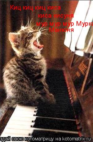 Киц киц киц киса киса кисуня мур мур мур Мурка Манюня... Котоматрица: Киц киц киц киса киса кисуня мур мур мур Мурка Манюня