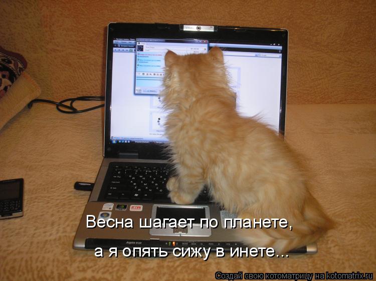 Весна шагает по планете, а я опять сижу в инете...... Котоматрица: Весна шагает по планете, а я опять сижу в инете...