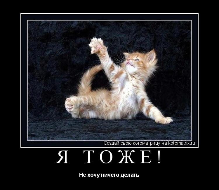 Я ТОЖЕ! Не хочу ничего делать... Котоматрица: Я ТОЖЕ! Не хочу ничего делать