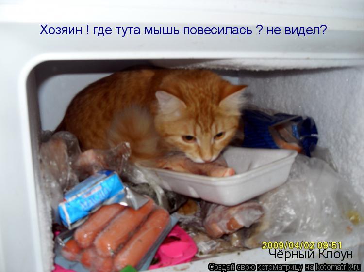 Хозяин ! где тута мышь повесилась ? не видел? Чёрный Клоун... Котоматрица: Хозяин ! где тута мышь повесилась ? не видел? Чёрный Клоун