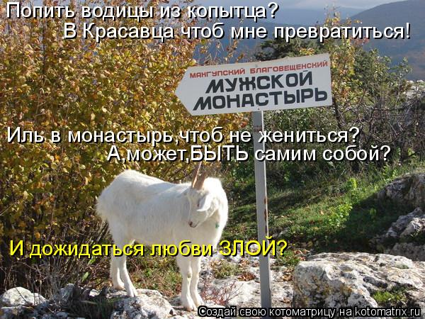 Попить водицы из копытца? В Красавца чтоб мне превратиться! Иль в монастырь,чтоб не жениться? А,может... Котоматрица: Попить водицы из копытца? В Красавца чтоб мне превратиться! Иль в монастырь,чтоб не жениться? А,может,БЫТЬ самим собой? И дожидаться любви ЗЛ