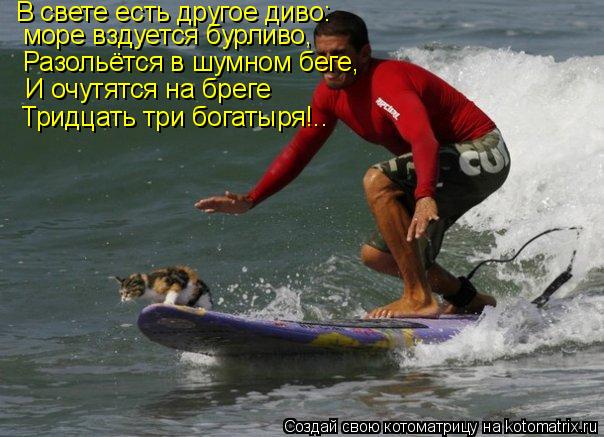 В свете есть другое диво: море вздуется бурливо, Разольётся в шумном беге, И очутятся на бреге Тридца... Котоматрица: В свете есть другое диво: море вздуется бурливо, Разольётся в шумном беге, И очутятся на бреге Тридцать три богатыря!..