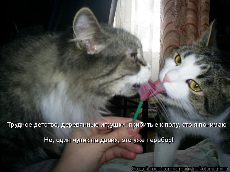 Котоматрица: Трудное детство, деревянные игрушки, прибитые к полу, это я понимаю Но, один чупик на двоих, это уже перебор!