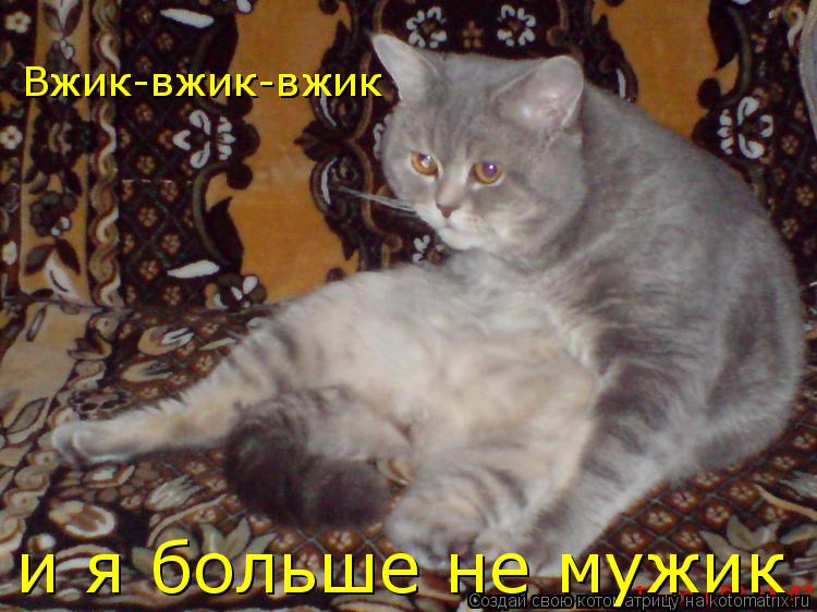 Вжик-вжик-вжик и я больше не мужик... Котоматрица: Вжик-вжик-вжик и я больше не мужик