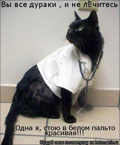 Котоматрица: Вы все дураки , и не лЕчитесь Одна я, стою в белом пальто красивая!!!