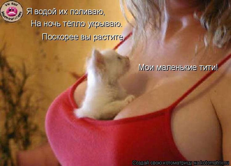 Маленькие сиски Котоматрица: Я водой их поливаю, На ночь тёпло укрываю. Поскорее вы  растите, Мои маленькие