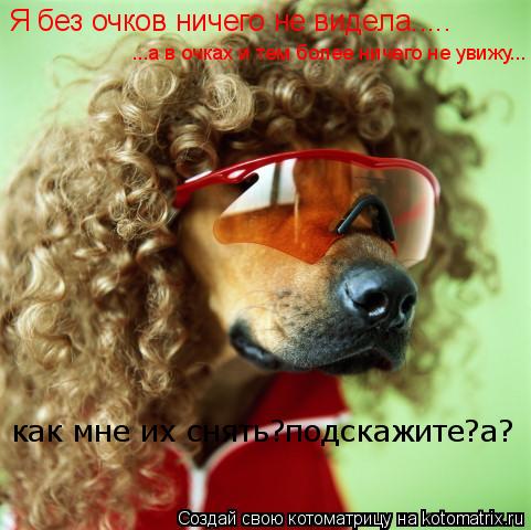 Котоматрица: Я без очков ничего не видела..... ...а в очках и тем более ничего не увижу... как мне их снять?подскажите?а?