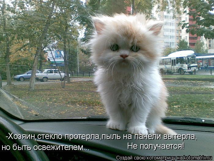 -Хозяин,стекло протерла,пыль на панели вытерла, но быть освежителем... Не получается!... Котоматрица: -Хозяин,стекло протерла,пыль на панели вытерла, но быть освежителем... Не получается!