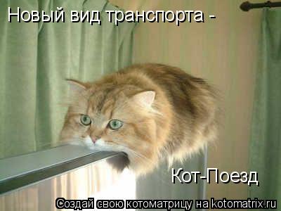 Новый вид транспорта - Кот-Поезд... Котоматрица: Новый вид транспорта - Кот-Поезд