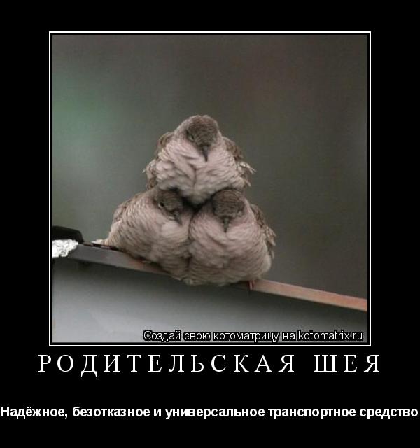 Родительская шея Надёжное, безотказное и универсальное транспортное средство... Котоматрица: Родительская шея Надёжное, безотказное и универсальное транспортное средство