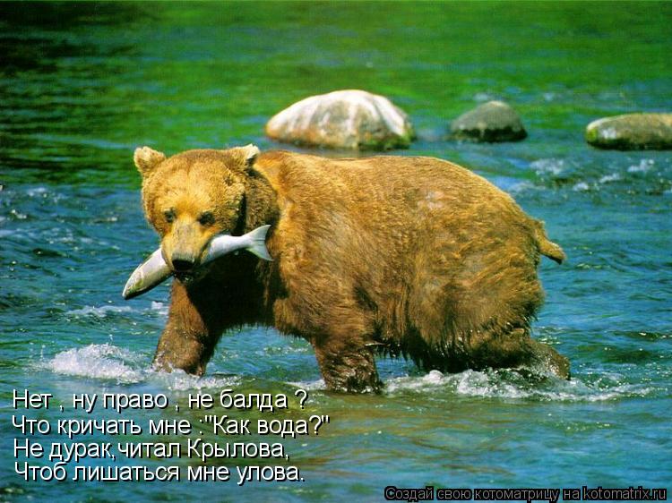 Нет , ну право , не балда ? Что кричать мне :"Как вода?" Не дурак,читал Крылова, Чтоб лишаться мне у... Котоматрица: Нет , ну право , не балда ? Что кричать мне :"Как вода?" Не дурак,читал Крылова, Чтоб лишаться мне улова.