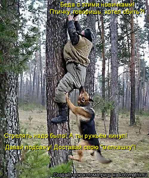 Беда с этими новичками! Птичку, говоришь, хотел сбить?! Стрелять надо было! А ты ружьём кинул! Давай ... Котоматрица: Беда с этими новичками! Птичку, говоришь, хотел сбить?! Стрелять надо было! А ты ружьём кинул! Давай подсажу! Доставай свою "мелкашку"!