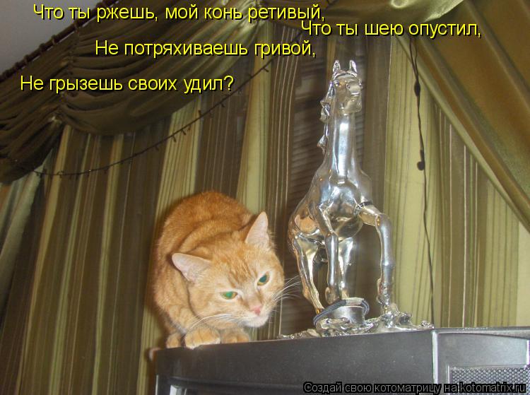 Что ты ржешь, мой конь ретивый, Что ты шею опустил, Не потряхиваешь гривой, Не грызешь своих удил?... Котоматрица: Что ты ржешь, мой конь ретивый, Что ты шею опустил, Не потряхиваешь гривой, Не грызешь своих удил?