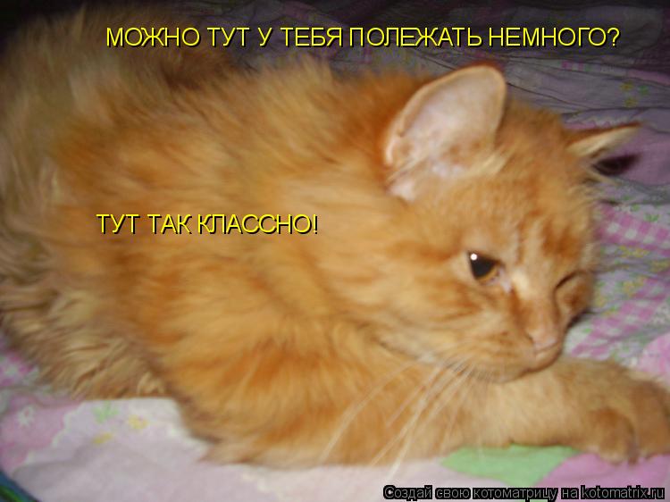 Открытки полежу тут тебя порадую Открытки полежу тут тебя порадую