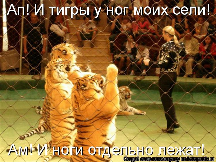 Ап! И тигры у ног моих сели! Ам! И ноги отдельно лежат!... Котоматрица: Ап! И тигры у ног моих сели! Ам! И ноги отдельно лежат!