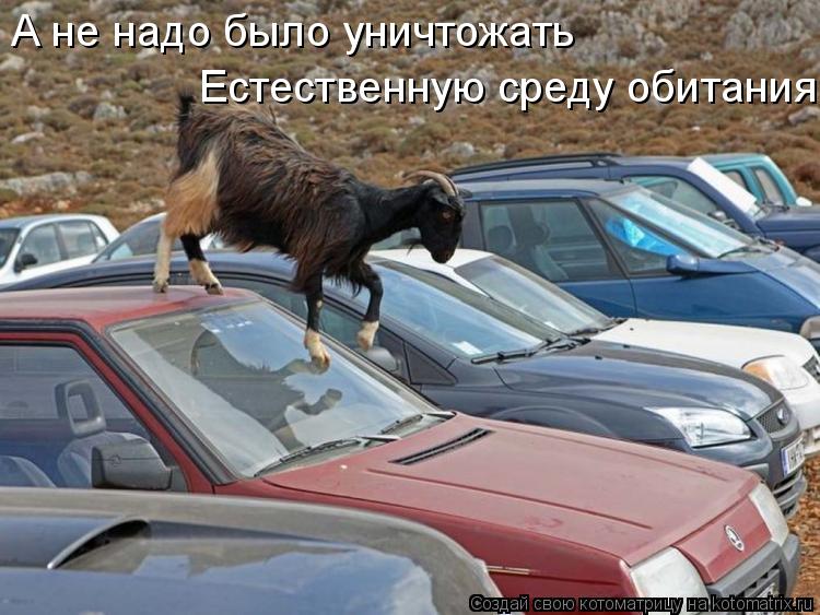 А не надо было уничтожать Естественную среду обитания... Котоматрица: А не надо было уничтожать Естественную среду обитания