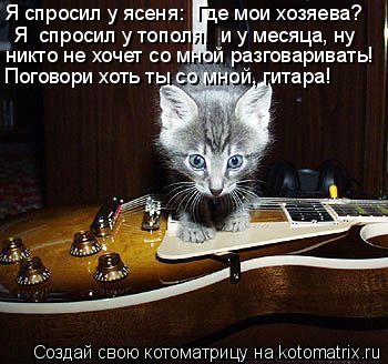 Я спросил у ясеня: «Где мои хозяева?» Я спросил у тополя, и у месяца, ну никто не хочет со мной раз... Котоматрица: Я спросил у ясеня: «Где мои хозяева?» Я спросил у тополя, и у месяца, ну никто не хочет со мной разговаривать! Поговори хоть ты со мной, гитар