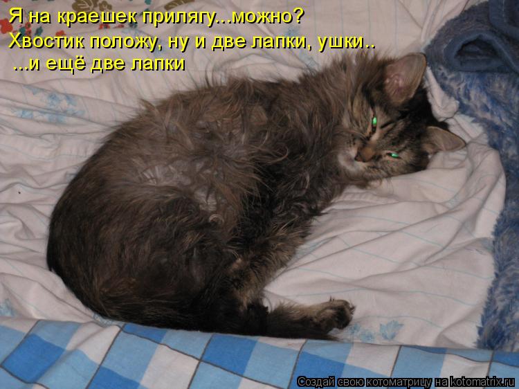 Я на краешек прилягу...можно? Хвостик положу, ну и две лапки, ушки.. ...и ещё две лапки... Котоматрица: Я на краешек прилягу...можно? Хвостик положу, ну и две лапки, ушки.. ...и ещё две лапки