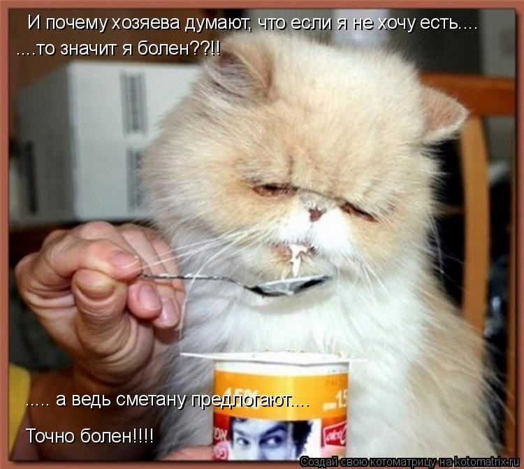 И почему хозяева думают, что если я не хочу есть.... ....то значит я болен??!! ..... а ведь сметану п... Котоматрица: И почему хозяева думают, что если я не хочу есть.... ....то значит я болен??!! ..... а ведь сметану предлогают.... Точно болен!!!!