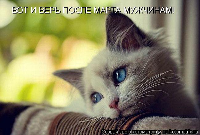 Котоматрица: ВОТ И ВЕРЬ ПОСЛЕ МАРТА МУЖЧИНАМ! ВОТ И ВЕРЬ ПОСЛЕ МАРТА МУЖЧИНАМ!