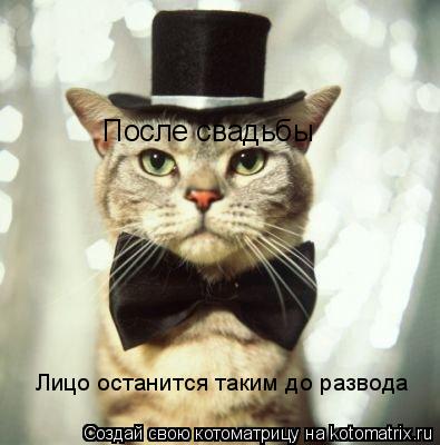 После свадьбы Лицо останится таким до развода... Котоматрица: После свадьбы Лицо останится таким до развода