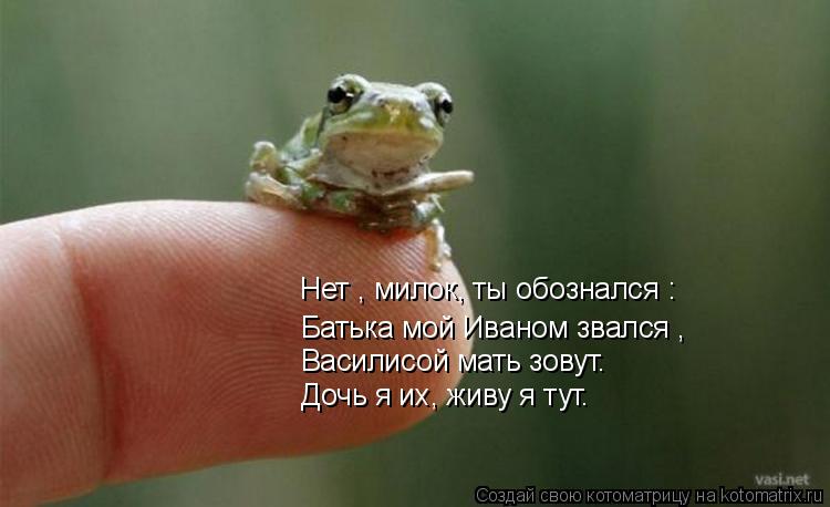 Нет , милок, ты обознался : Батька мой Иваном звался , Василисой мать зовут. Дочь я их, живу я тут.... Котоматрица: Нет , милок, ты обознался : Батька мой Иваном звался , Василисой мать зовут. Дочь я их, живу я тут.