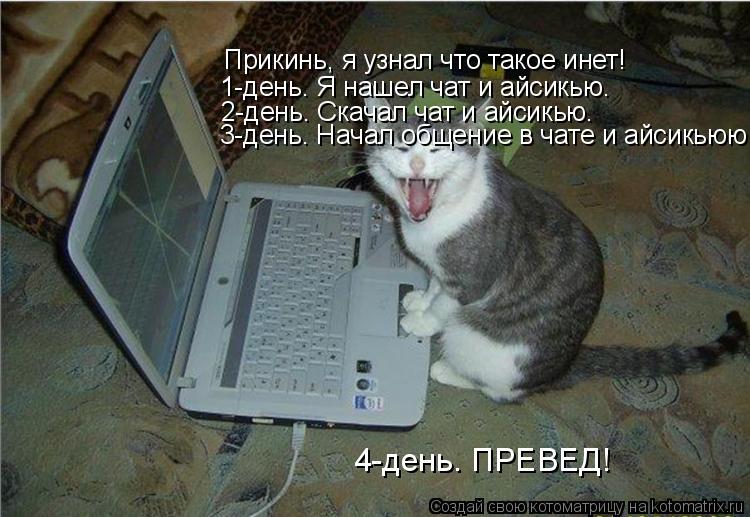 Прикинь, я узнал что такое инет! 1-день. Я нашел чат и айсикью. 4-день. ПРЕВЕД! 2-день. Скачал чат и ... Котоматрица: Прикинь, я узнал что такое инет! 1-день. Я нашел чат и айсикью. 4-день. ПРЕВЕД! 2-день. Скачал чат и айсикью. 3-день. Начал общение в чате и айсикью