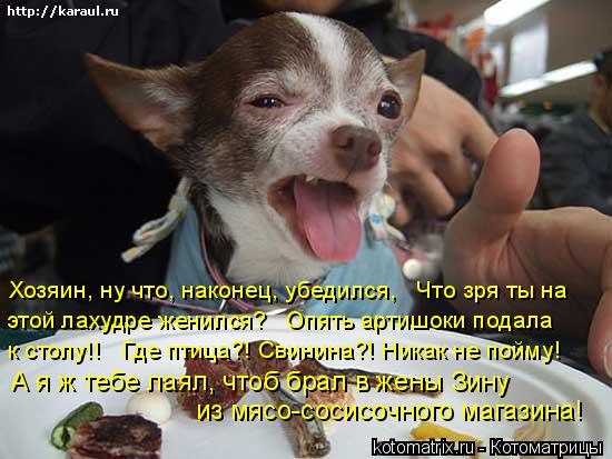 Хозяин, ну что, наконец, убедился, Что зря ты на этой лахудре женился? Опять артишоки подала к с... Котоматрица: Хозяин, ну что, наконец, убедился, Что зря ты на этой лахудре женился? Опять артишоки подала к столу!! Где птица?! Свинина?! Никак не пойму!