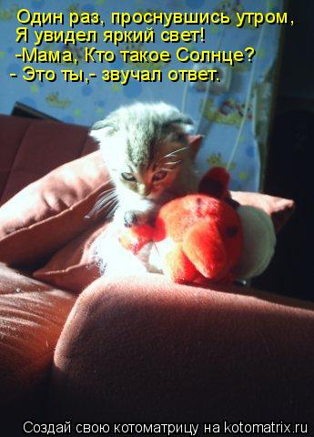 Один раз, проснувшись утром, Я увидел яркий свет! -Мама, Кто такое Солнце? - Это ты,- звучал ответ.... Котоматрица: Один раз, проснувшись утром, Я увидел яркий свет! -Мама, Кто такое Солнце? - Это ты,- звучал ответ.