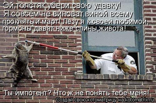 Котоматрица: Эй,толстяк,убери свою удавку! Я совсем не виноват,виной всему  проклятый март! Лезу я к своей любимой, гормоны давят ниже спины,живота! Ты имп