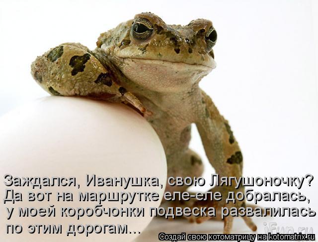 Котоматрица: Заждался, Иванушка, свою Лягушоночку? у моей коробчонки подвеска развалилась  по этим дорогам... Да вот на маршрутке еле-еле добралась,