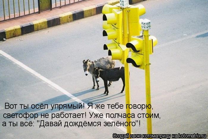 Вот ты осёл упрямый! Я же тебе говорю, светофор не работает! Уже полчаса стоим, а ты всё: "Давай д... Котоматрица: Вот ты осёл упрямый! Я же тебе говорю, светофор не работает! Уже полчаса стоим, а ты всё: "Давай дождёмся зелёного"!