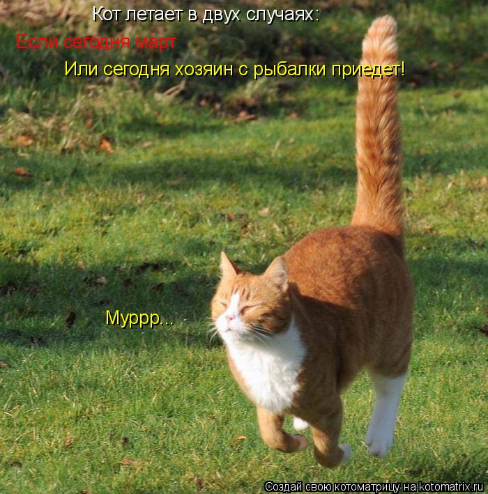 Котоматрица: Кот летает в двух случаях: Если сегодня март Или сегодня хозяин с рыбалки приедет! Муррр...