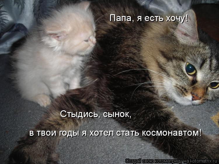 Котоматрица: Папа, я есть хочу! Стыдись, сынок, в твои годы я хотел стать космонавтом!