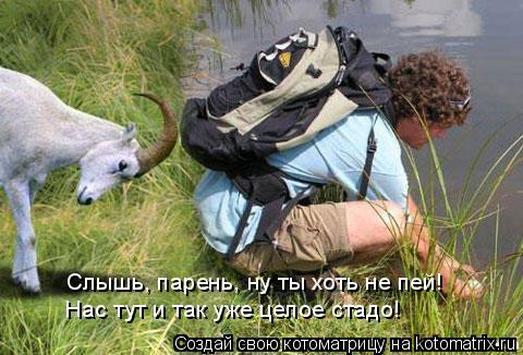 Слышь, парень, ну ты хоть не пей! Нас тут и так уже целое стадо!... Котоматрица: Слышь, парень, ну ты хоть не пей! Нас тут и так уже целое стадо!