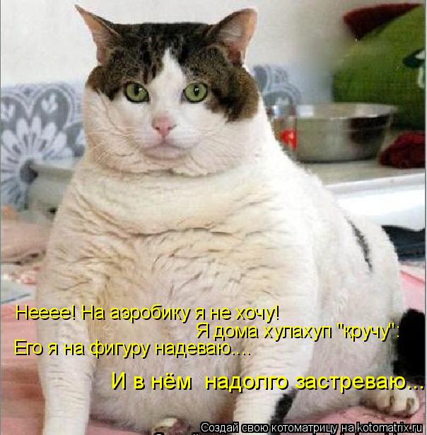 Нееее! На аэробику я не хочу! Я дома хулахуп "кручу": Его я на фигуру надеваю.... И в нём надолго за... Котоматрица: Нееее! На аэробику я не хочу! Я дома хулахуп "кручу": Его я на фигуру надеваю.... И в нём надолго застреваю...