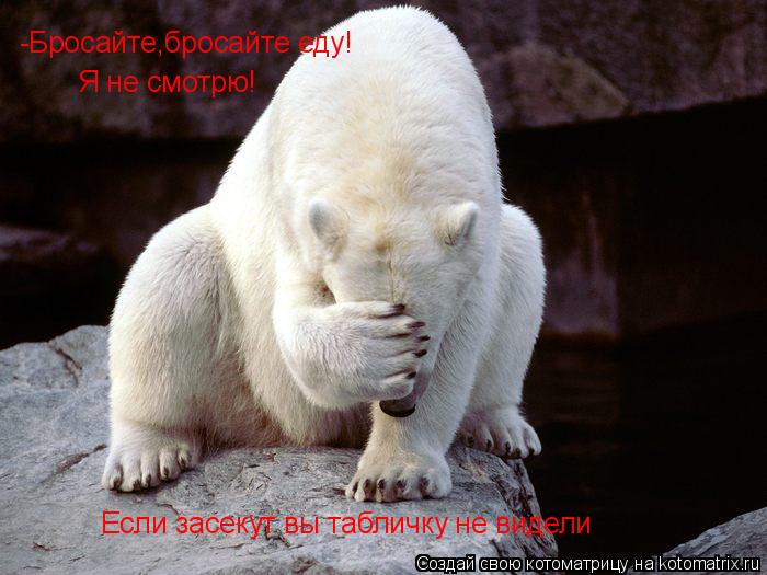 -Бросайте,бросайте еду! Я не смотрю! Если засекут вы табличку не видели... Котоматрица: -Бросайте,бросайте еду! Я не смотрю! Если засекут вы табличку не видели