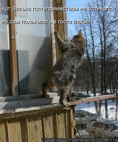 Кот Васька гостеприимством не отличался, но сам похаживать в гости любил!... Котоматрица: Кот Васька гостеприимством не отличался, но сам похаживать в гости любил!