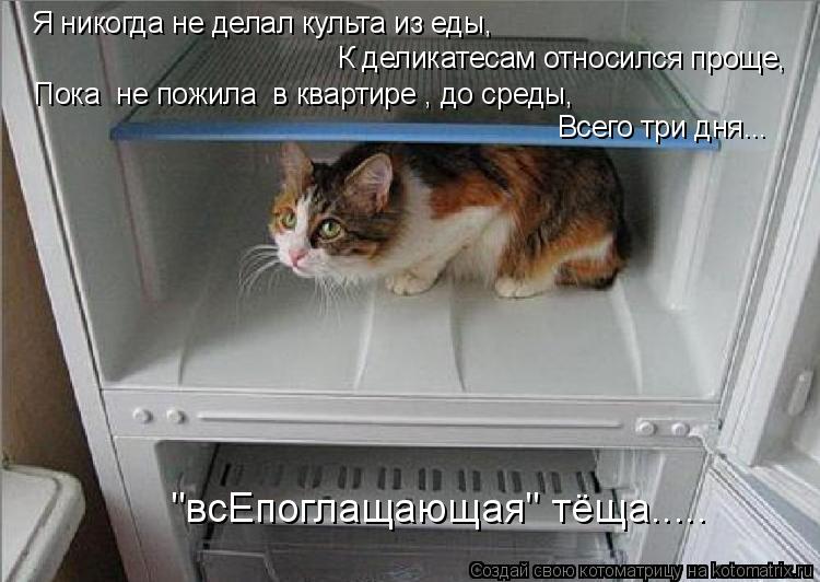 Я никогда не делал культа из еды, К деликатесам относился проще, Пока не пожила в квартире , до сре... Котоматрица: Я никогда не делал культа из еды, К деликатесам относился проще, Пока не пожила в квартире , до среды, Всего три дня... "всЕпоглащающая" тёща...