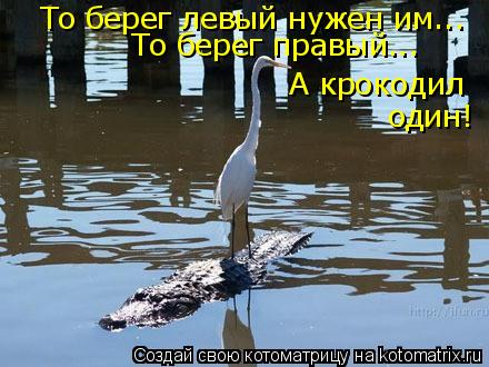 То берег левый нужен им... То берег правый... А крокодил один!... Котоматрица: То берег левый нужен им... То берег правый... А крокодил один!