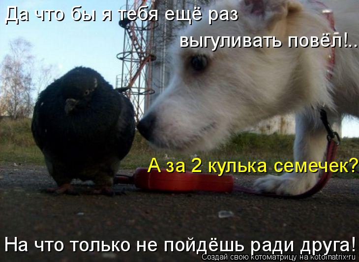 На что только не пойдёшь ради На что только не пойдёшь ради