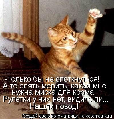 -Только бы не споткнуться! А то опять мерить, какая мне нужна миска для корма... Рулетки у них нет, ... Котоматрица: -Только бы не споткнуться! А то опять мерить, какая мне нужна миска для корма... Рулетки у них нет, видите ли... Нашли повод!