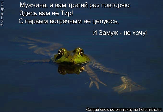 Мужчина, я вам третий раз повторяю: И Замуж - не хочу! Здесь вам не Тир! С первым встречным не целуюс... Котоматрица: Мужчина, я вам третий раз повторяю: И Замуж - не хочу! Здесь вам не Тир! С первым встречным не целуюсь,