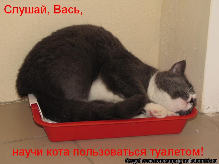 Как сделать чтобы человек не проснулся Как сделать чтобы человек не проснулся