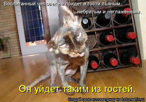 Воспитанный человек не придет в гости пьяным, небритым и неглаженным. Он уйдет таким из гостей.... Котоматрица: Воспитанный человек не придет в гости пьяным, небритым и неглаженным. Он уйдет таким из гостей.