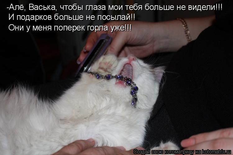-Алё, Васька, чтобы глаза мои тебя больше не видели!!! И подарков больше не посылай!! Они у меня поп... Котоматрица: -Алё, Васька, чтобы глаза мои тебя больше не видели!!! И подарков больше не посылай!! Они у меня поперек горла уже!!!