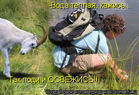 -Вода теплая, кажись... -Так поди и ОСВЕЖИСЬ!!!... Котоматрица: -Вода теплая, кажись... -Так поди и ОСВЕЖИСЬ!!!